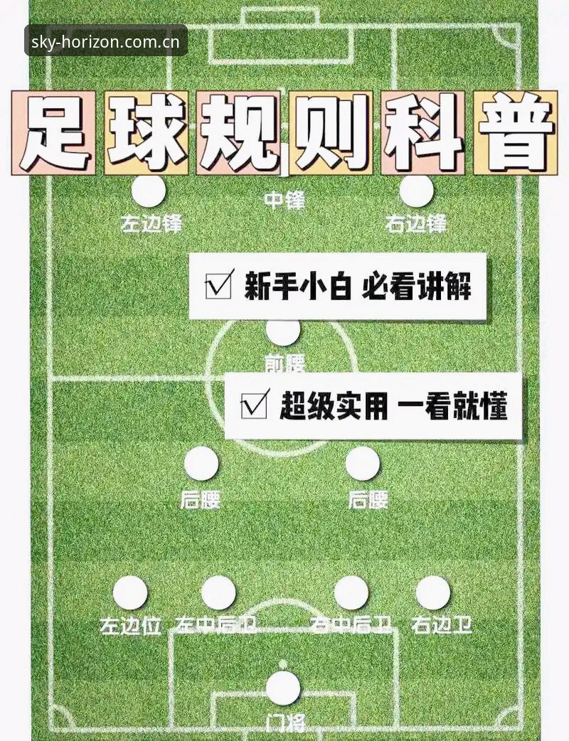 一方视野一方天 登录入口 怕找错入口?一位体育迷的